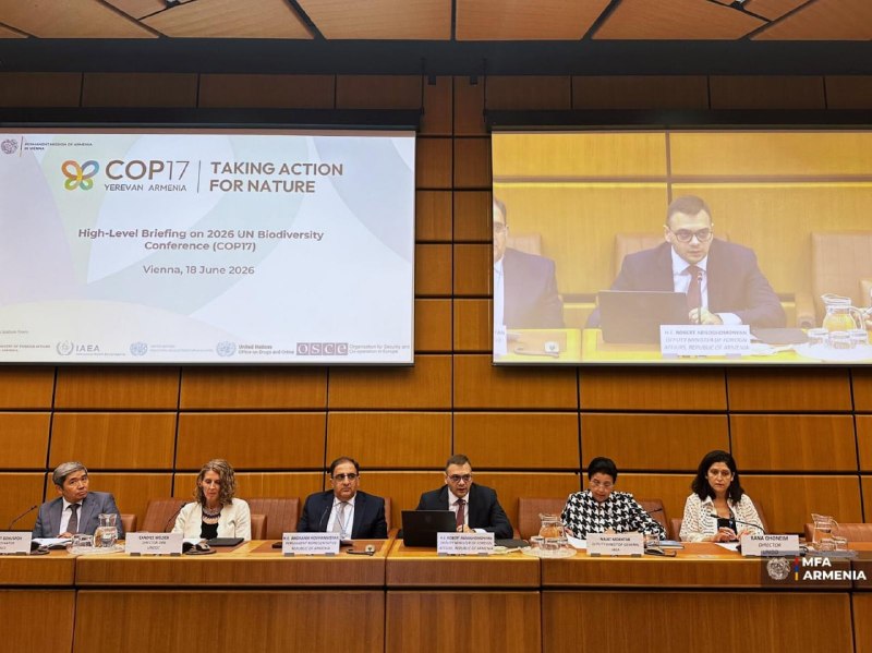 Брифинг в Венском офисе ООН по подготовке к COP17 в Ереване