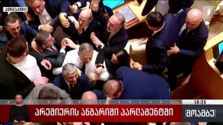 Драка в парламенте Грузии, Тбилиси